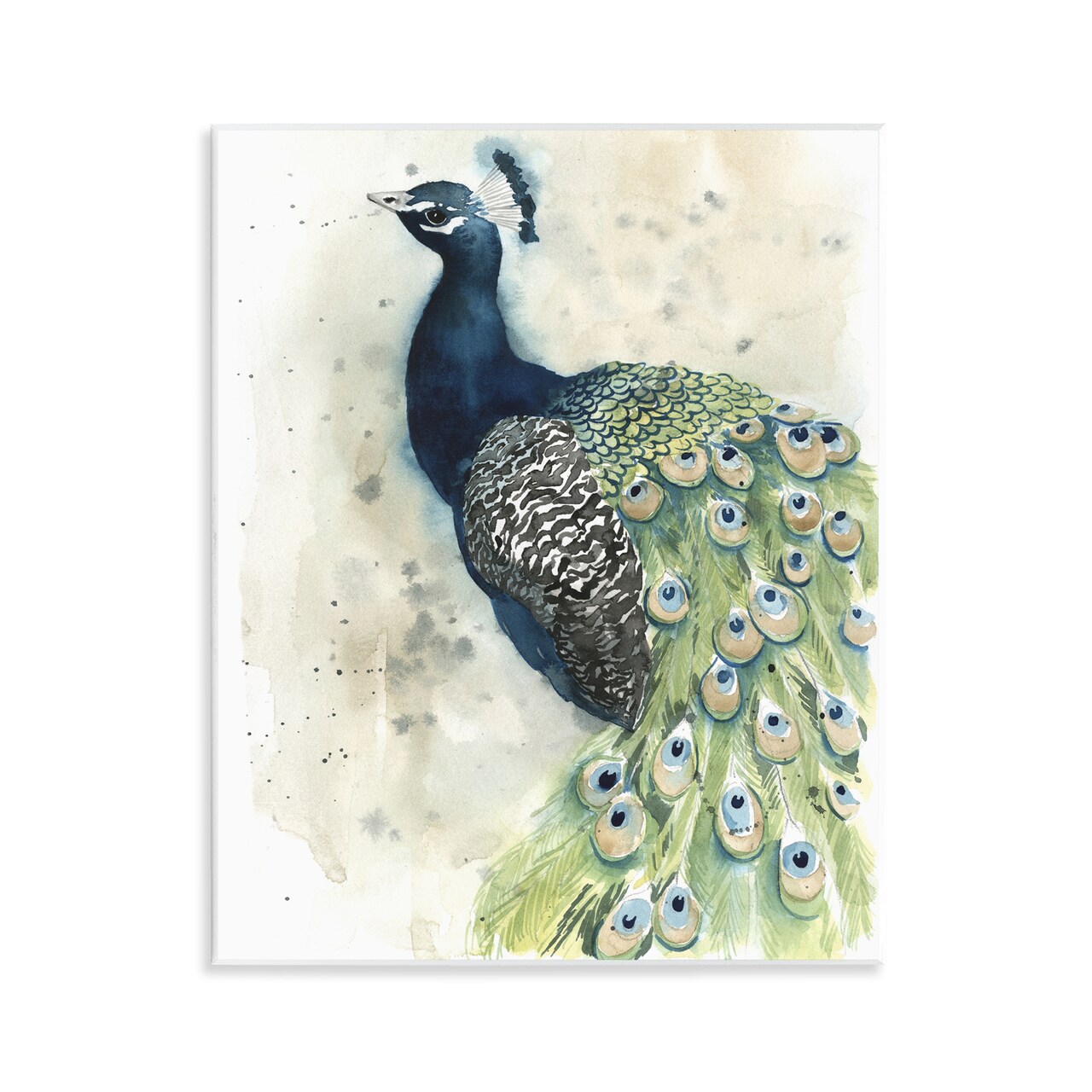 Stupell Industries Modern Style Peacock Portrait Wall Plaque By Grace Popp